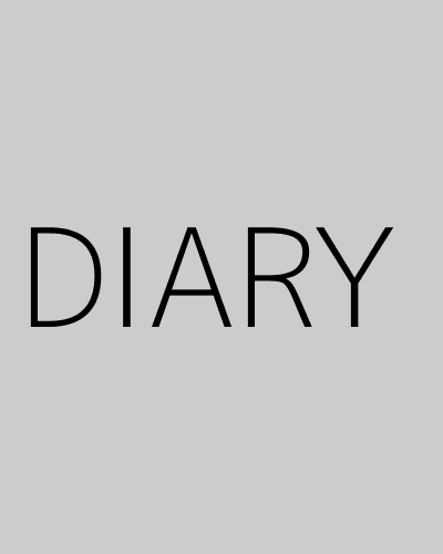 DIARY (2022) poster