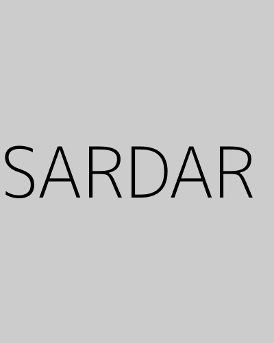 SARDAR (2022) poster