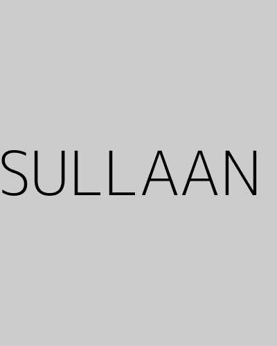 SULLAAN (2004) poster