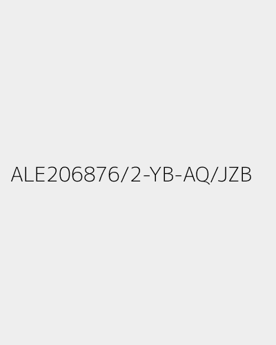 ALE206876/2-YB-AQ/JZB