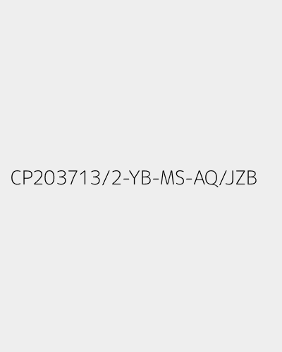 CP203713/2-YB-MS-AQ/JZB