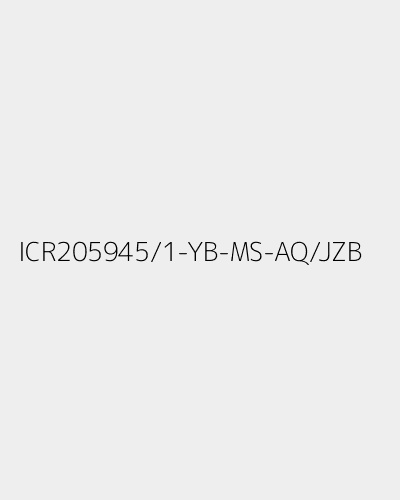 ICR205945/1-YB-MS-AQ/JZB