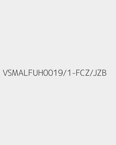VSMALFUH0019/1-FCZ/JZB