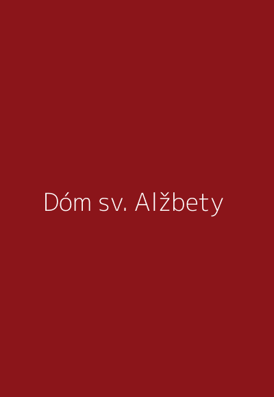 Obálka knihy Dóm svätej Alžbety v Košiciach - Katarína Nádaská