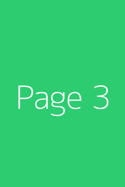 Page 3