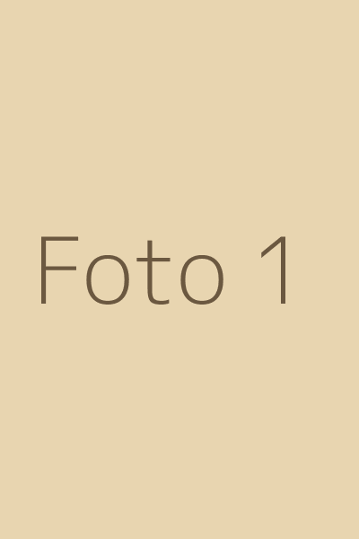 Fotoğraf 1