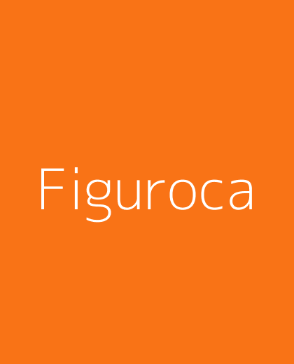 Preview da tela do aplicativo Figuroca