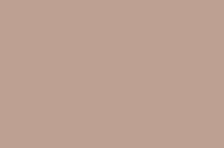 safari tan paint