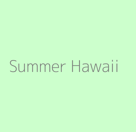 Summer Hawaii Image