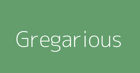 Gregarious