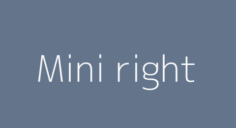 Mini image right