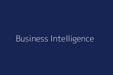 Business Intelligence & Reporting Systems