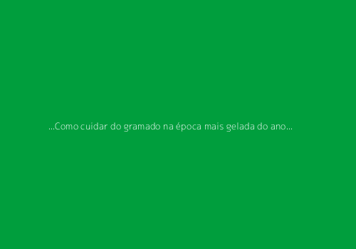 no-thumbnail