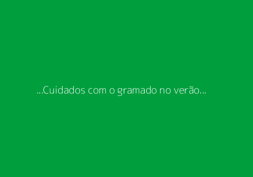 no-thumbnail