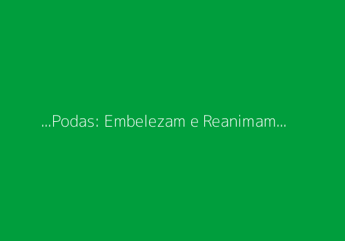 no-thumbnail