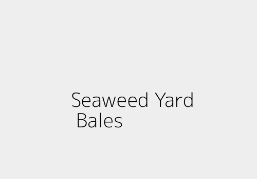 Press bales of seaweed in a Makassar drying yard (placeholder)