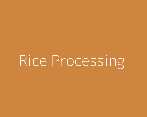 Rice Processing