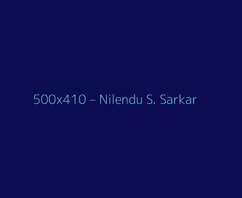 Nilendu Sekhar Sarkar