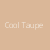 Cool Taupe