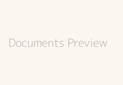 Documents preview placeholder
