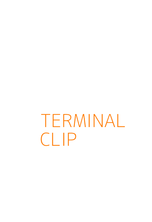 Terminal Clip