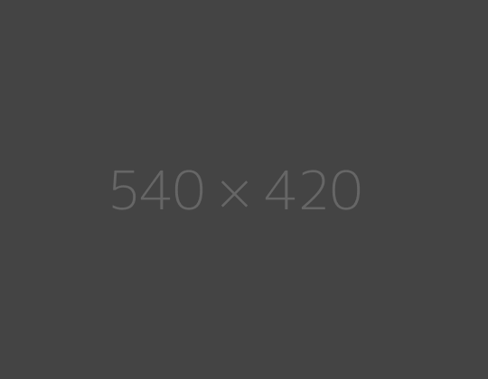 Alt text photo 3