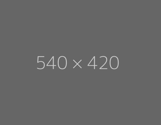 Alt text photo 4