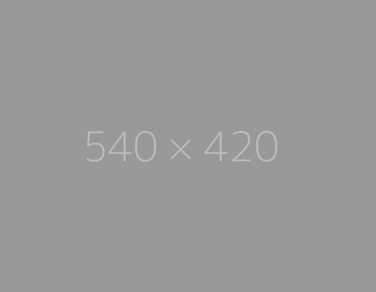 Alt text photo 6