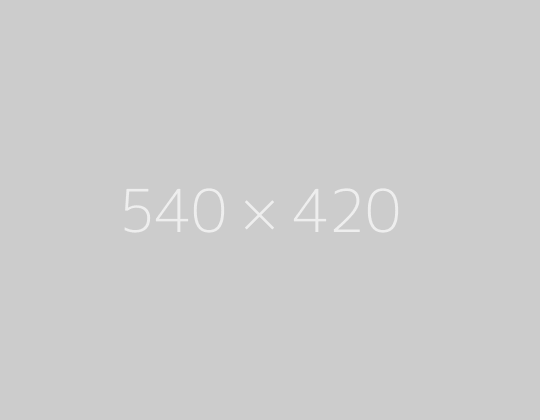 Alt text photo 2