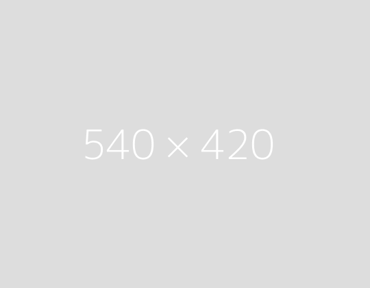 Alt text photo 1