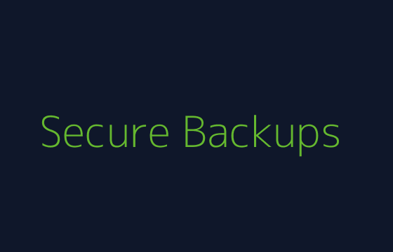Placeholder depicting secure backup and restore