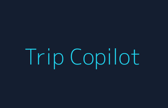 Placeholder showing trip expense management view