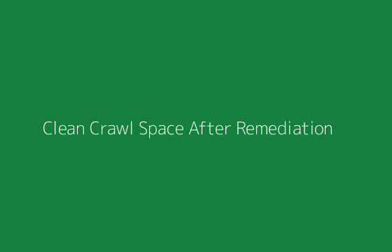 Clean and decontaminated crawl space after professional rodent droppings removal