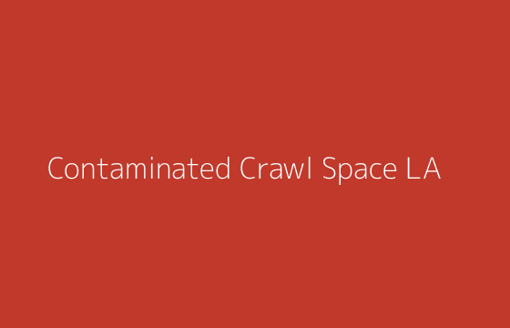 Contaminated crawl space with rodent droppings and soiled insulation in a Los Angeles home