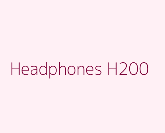 Wireless Headphones H200 product image