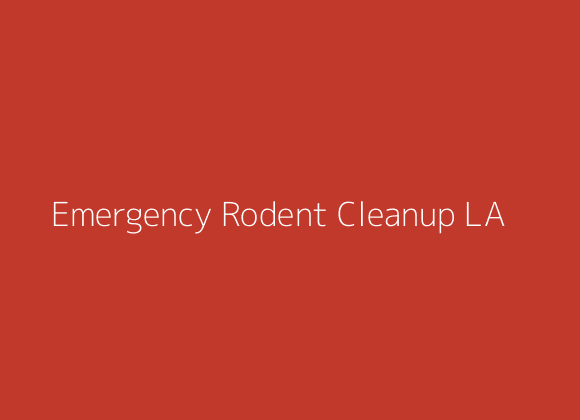 Emergency rodent droppings cleanup team responding to a contamination call in Los Angeles County California