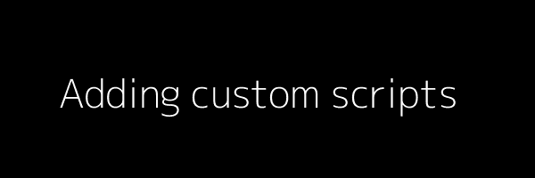 Adding custom scripts