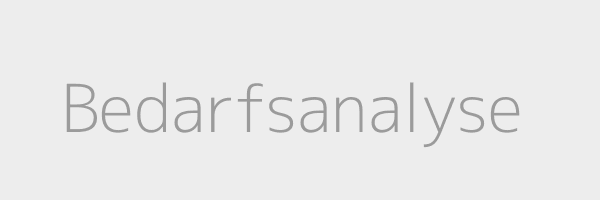 Bedarfsanalyse