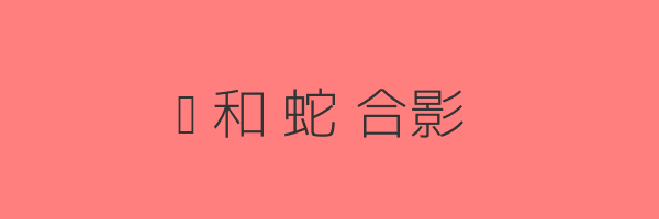 鸡和蛇合影