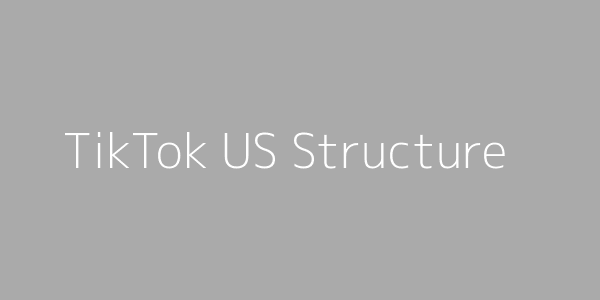 TikTok US Structure