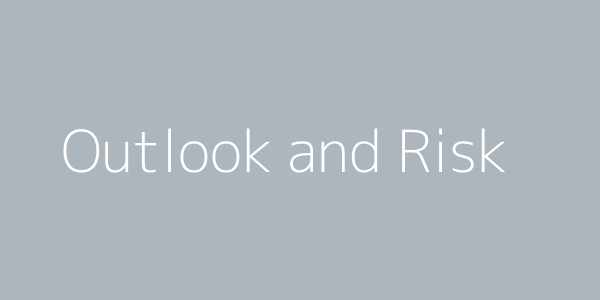 Outlook and Risk