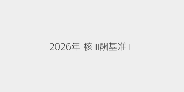2026年审核员报酬基准图