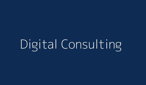 Digital Transformation & Integration Consulting