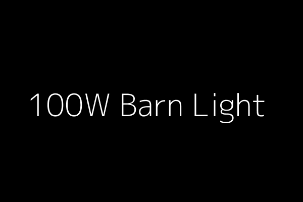 100W Barn Light image