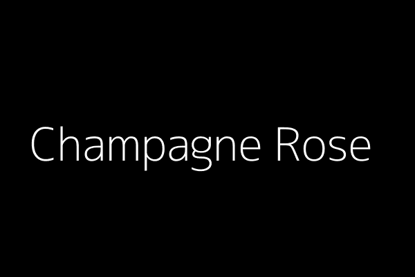 单枝香槟玫瑰