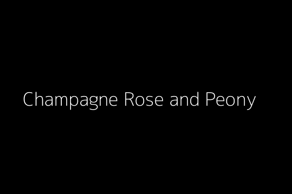 香槟玫瑰和芍药