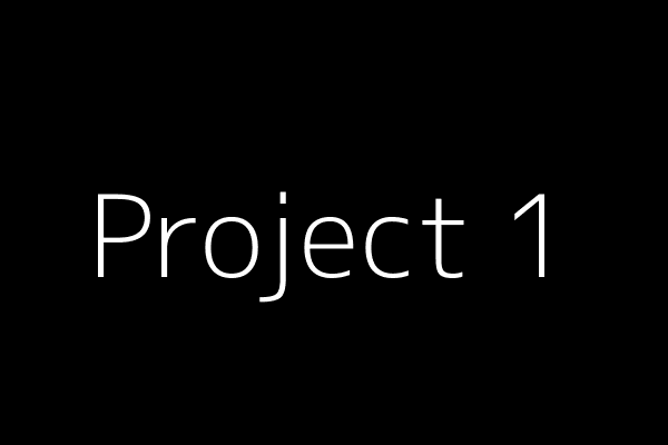 Project Screenshot 1