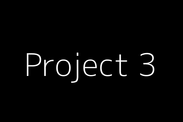 Project Screenshot 2