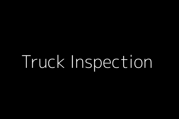A truck being inspected by a traffic officer