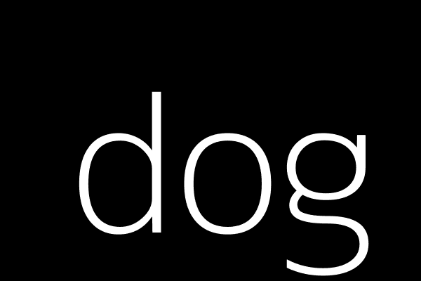 dog picture
